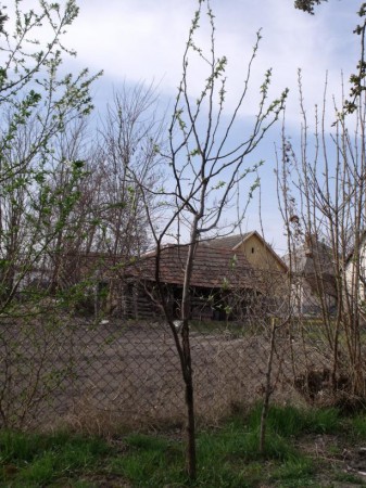Bereczki birs